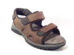 WALDLAUFER 746002 838