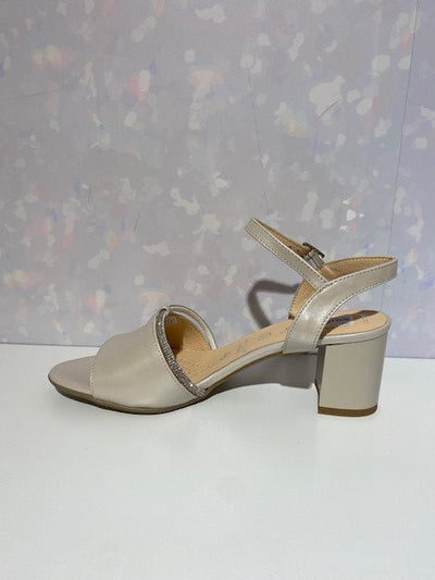 BIOECO 4040 2380 1661