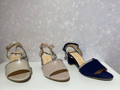 BIOECO 4040 2067 1661