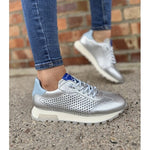 HISPANITAS HV264559 C001