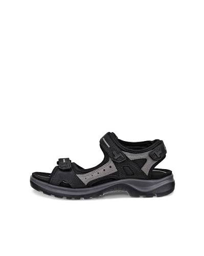 ECCO 069563 50034